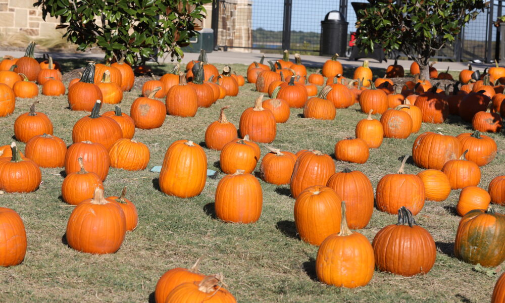 2023 Inspiration Texas Annual Oktoberfest