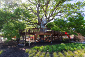 Solterra Texas Tree House